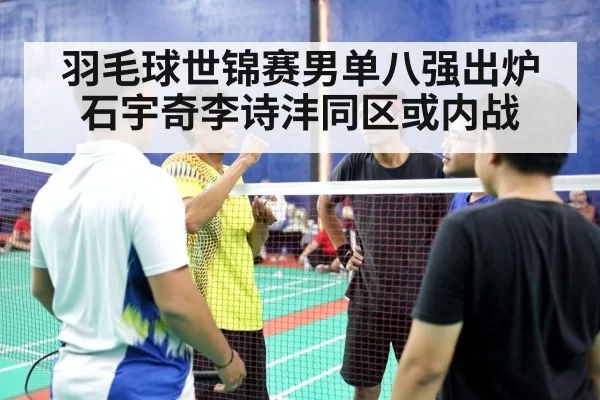 badminton men's singles match（pgdianzi）